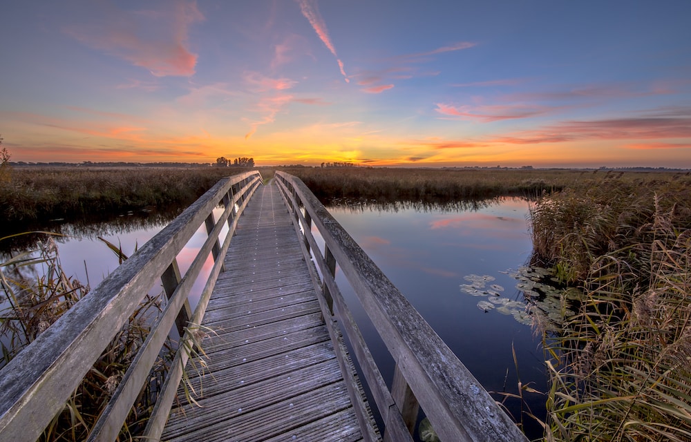 Strengthening bridges with hope