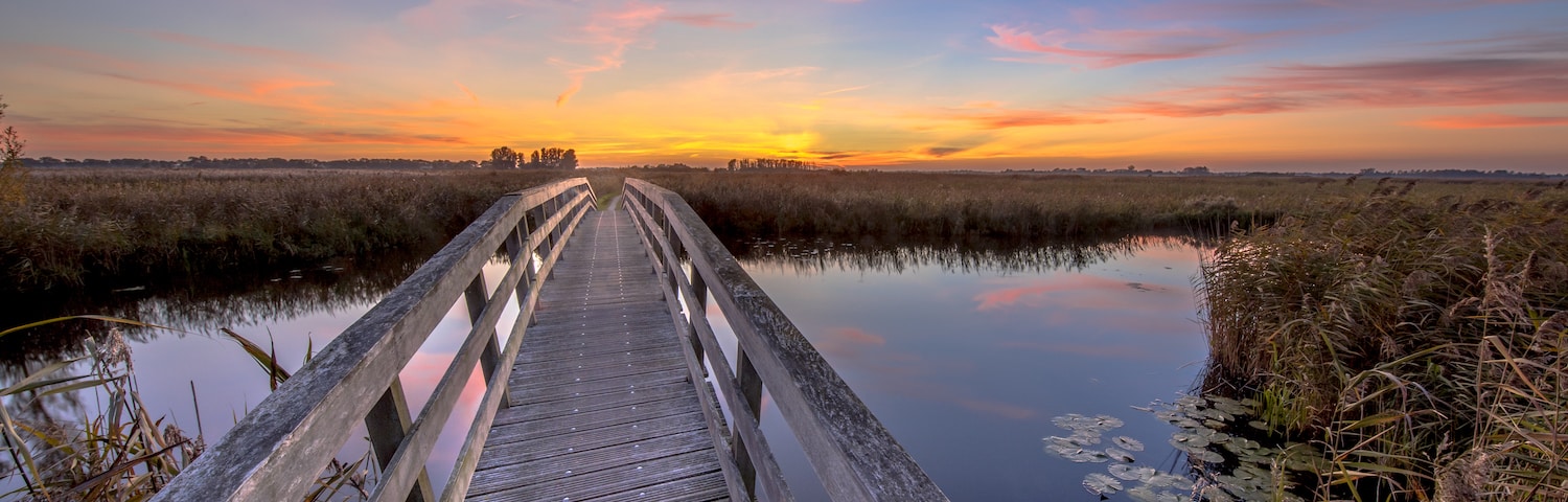 Strengthening bridges with hope